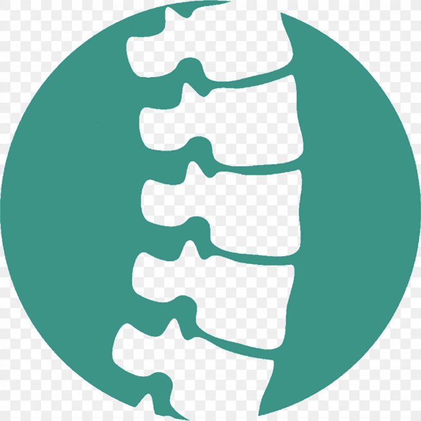 Back Pain Chiropractic Vertebral Column Chiropractor Human Factors And Ergonomics, PNG, 1430x1430px, Back Pain, Acupuncture, Aqua, Chiropractic, Chiropractor Download Free