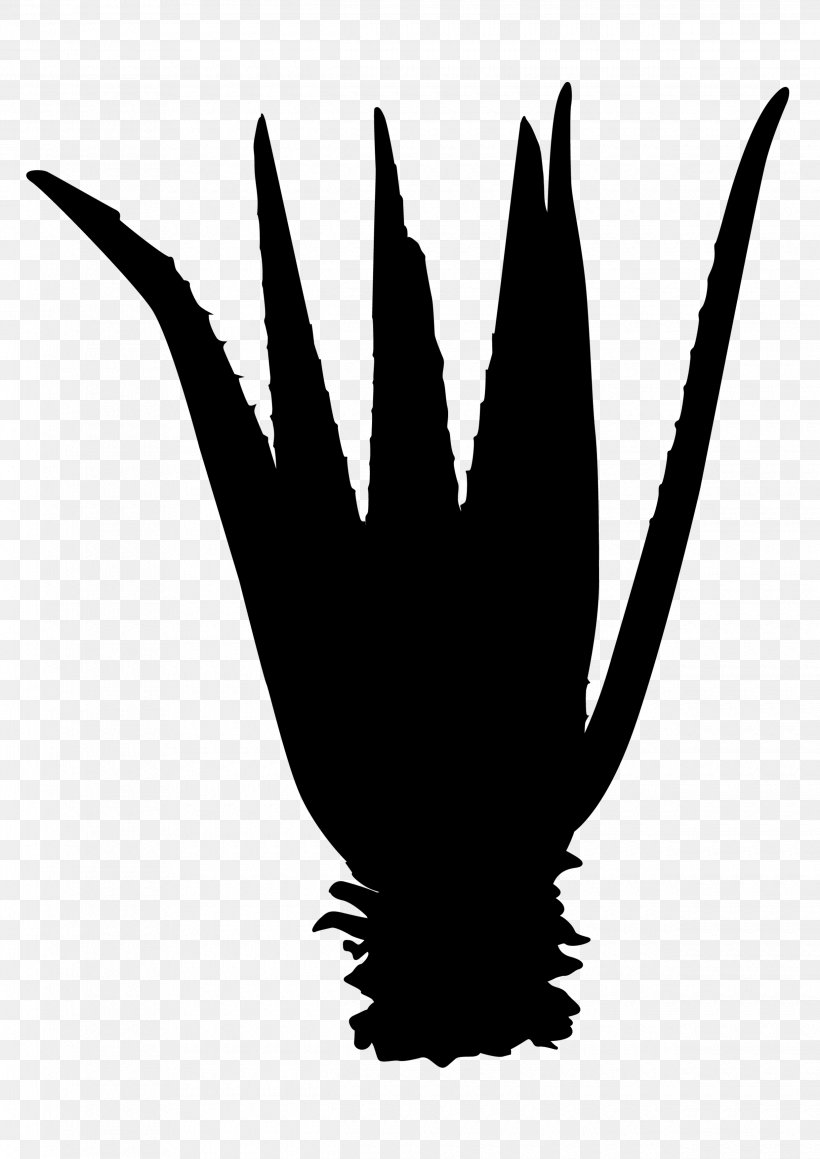 Beak Clip Art Finger Silhouette Feather, PNG, 2480x3508px, Beak, Black M, Blackandwhite, Claw, Feather Download Free