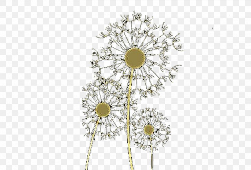Common Dandelion Taraxacum Platycarpum Euclidean Vector, PNG, 999x678px, Common Dandelion, Dandelion, Floral Design, Flower, Gratis Download Free
