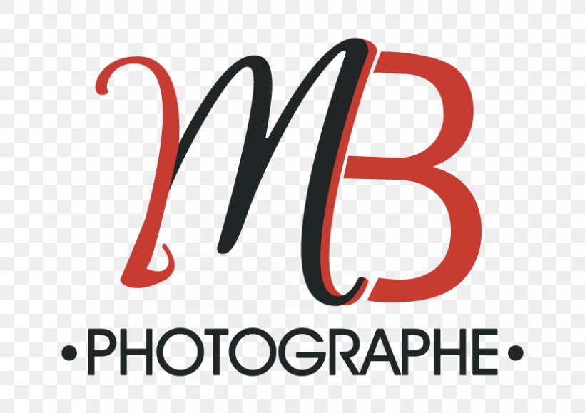 Photography Photographer Rule Of Thirds Salon De La Photo De Paris, PNG, 842x595px, Photography, Area, Brand, Logo, Photographer Download Free