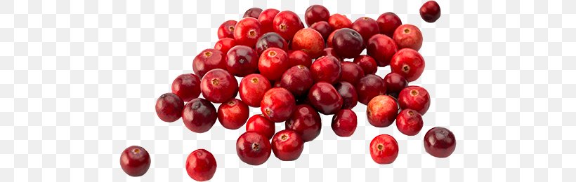 Pink Peppercorn Zante Currant Barbados Cherry Food Lingonberry, PNG, 480x260px, Pink Peppercorn, Acerola, Acerola Family, Barbados Cherry, Berry Download Free