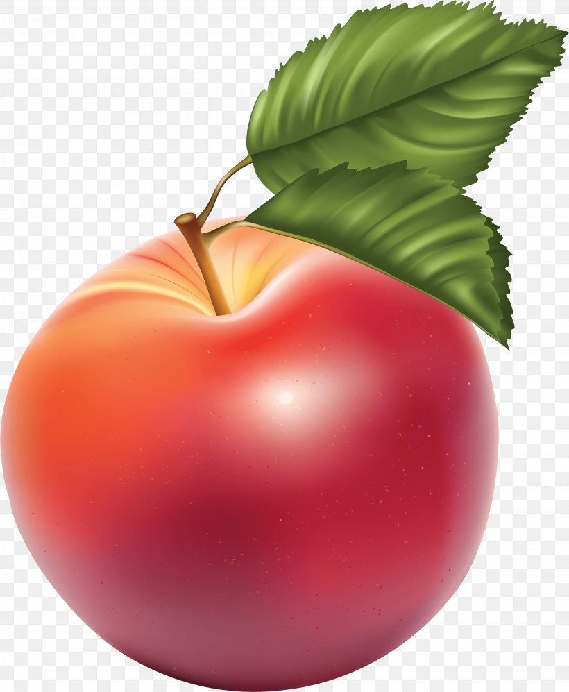 Apple Fruit Clip Art, PNG, 2877x3499px, Fruit, Apple, Art, Diet Food, Drawing Download Free