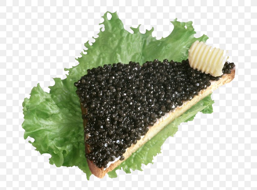 Beluga Caviar Butterbrot Russian Cuisine Roe, PNG, 760x609px, Caviar, Acipenser, Beluga Caviar, Butterbrot, Cooking Download Free