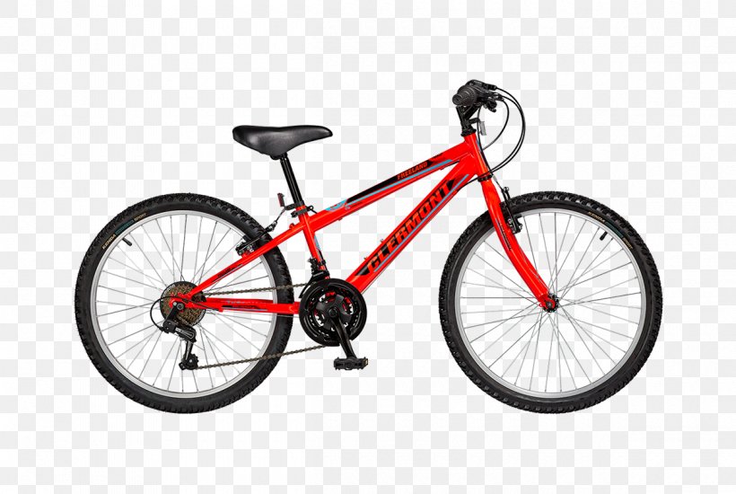 Bicycle Shop Mountain Bike Cycling Hardtail, PNG, 1200x806px, Bicycle, Bicycle Accessory, Bicycle Drivetrain Part, Bicycle Frame, Bicycle Part Download Free