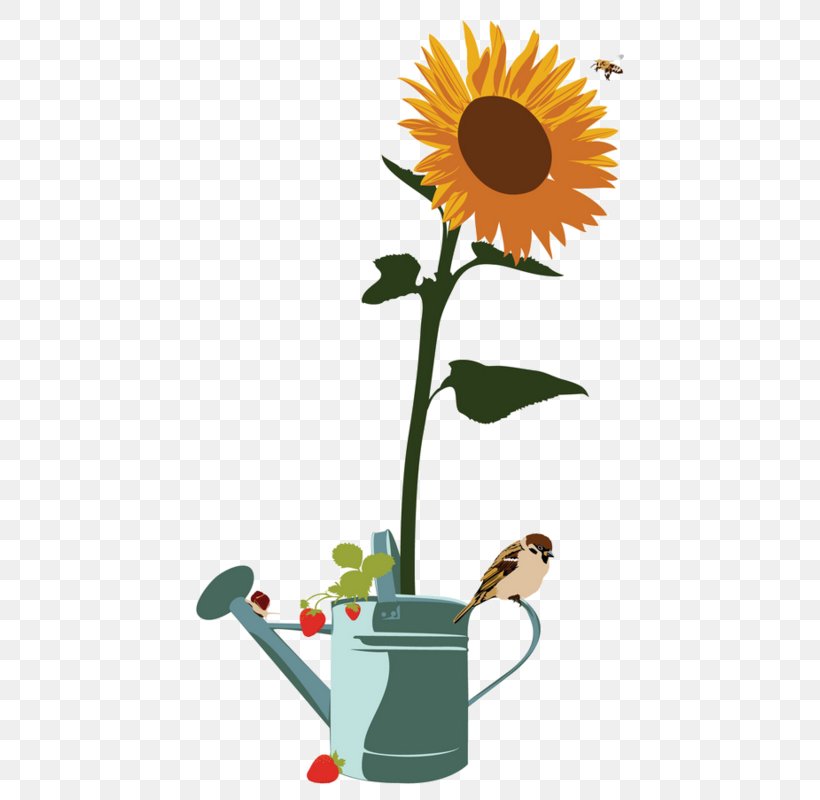Common Sunflower Yellow Clip Art, PNG, 443x800px, Common Sunflower, Daisy Family, Designer, Flora, Floral Design Download Free