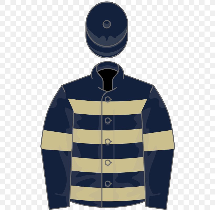 Fred Winter Juvenile Novices' Handicap Hurdle Wikipedia Thoroughbred 2017 Melbourne Cup, PNG, 512x799px, Wikipedia, Electric Blue, English Wikipedia, Hood, Horse Download Free
