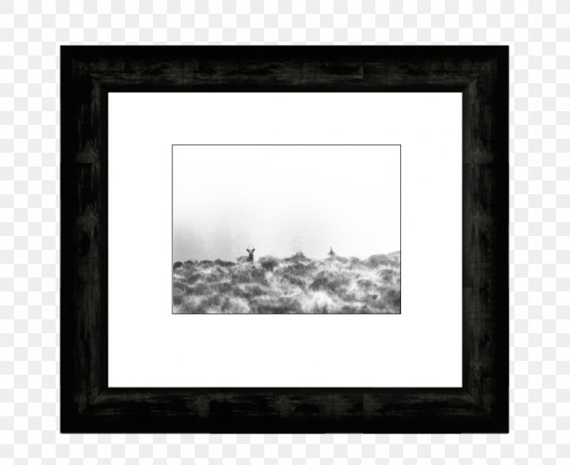 Picture Frames Mat Art, PNG, 1100x900px, Picture Frames, Architecture, Art, Black And White, Fine Art Download Free