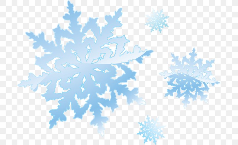 Snowflake Desktop Wallpaper Clip Art, PNG, 699x499px, Snowflake, Blue, Branch, Cloud, Petal Download Free