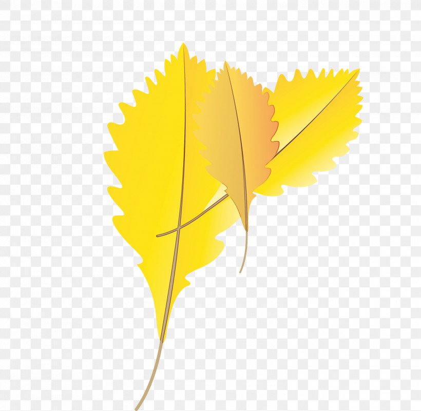 Vliestapete Color Birds Yellow, PNG, 3000x2931px, Autumn Leaf, Birds, Blue, Cartoon Leaf, Childrens Room Download Free