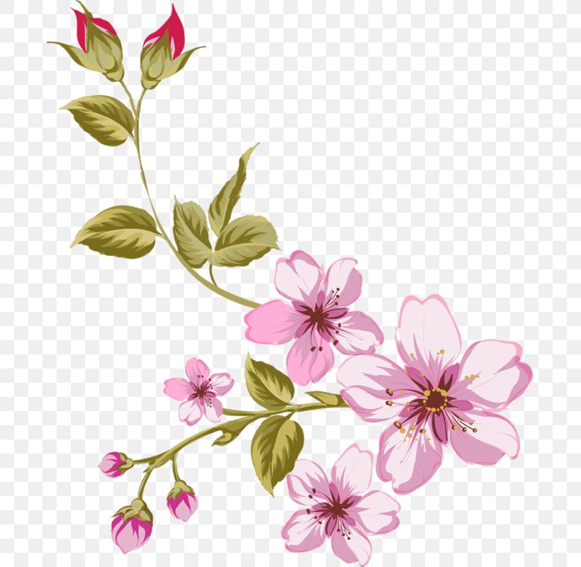 Flower, PNG, 687x800px, Flower, Blossom, Branch, Cherry Blossom, Computer Graphics Download Free