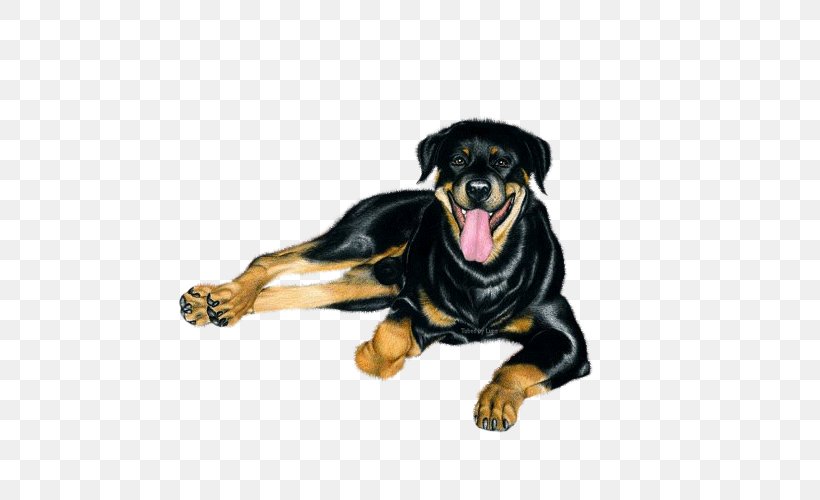 Rottweiler Puppy Dog Breed Universe Thought, PNG, 500x500px, Rottweiler, Breed, Carnivoran, Dog, Dog Breed Download Free