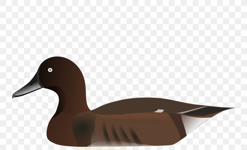 Tufted Duck Madagascan Pochard Madagascar, PNG, 1024x622px, Duck, Beak, Bird, Ducks Geese And Swans, East Download Free