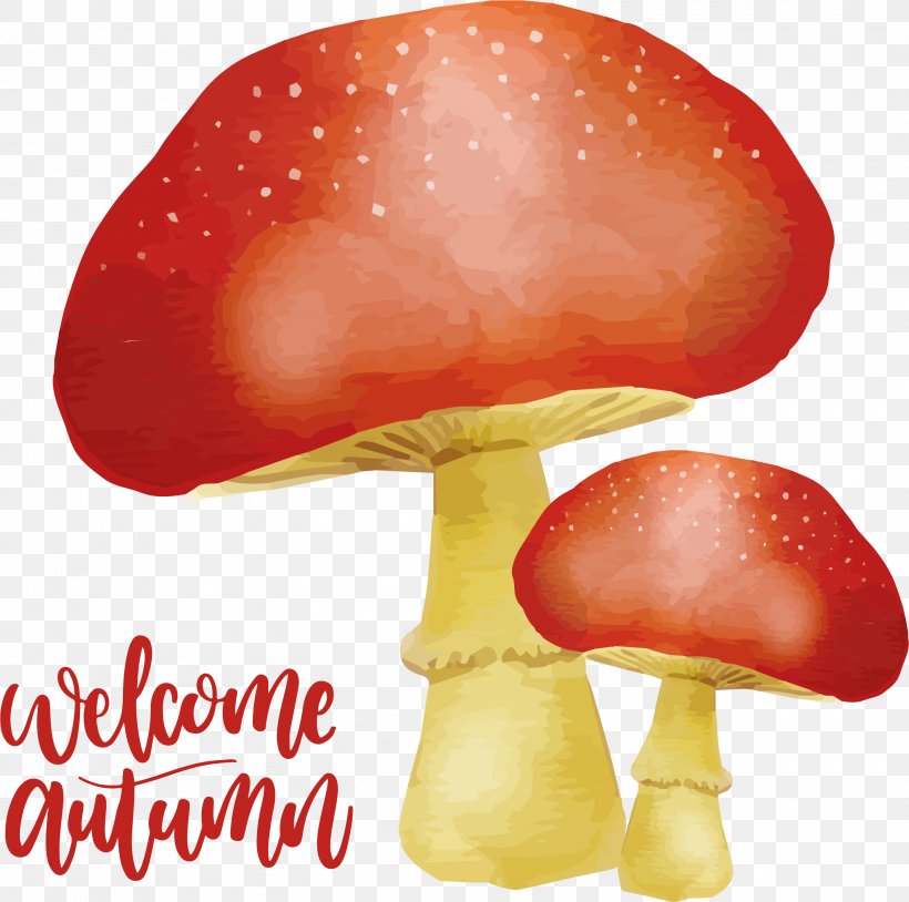 Autumn Watercolor Painting Download, PNG, 3015x2996px, Autumn, Drawing, Google Images, Ingredient, Mushroom Download Free