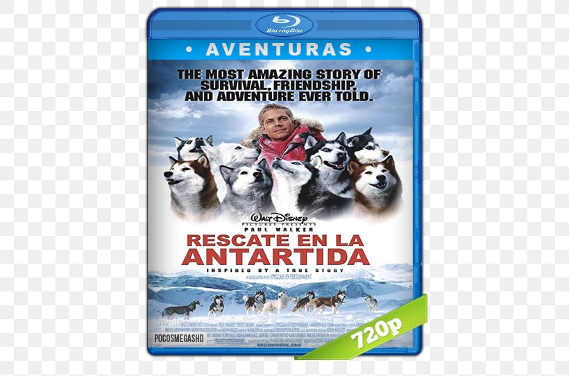 Dog Jerry Shepard Adventure Film 0, PNG, 542x542px, 2006, Dog, Adventure Film, Advertising, Brand Download Free