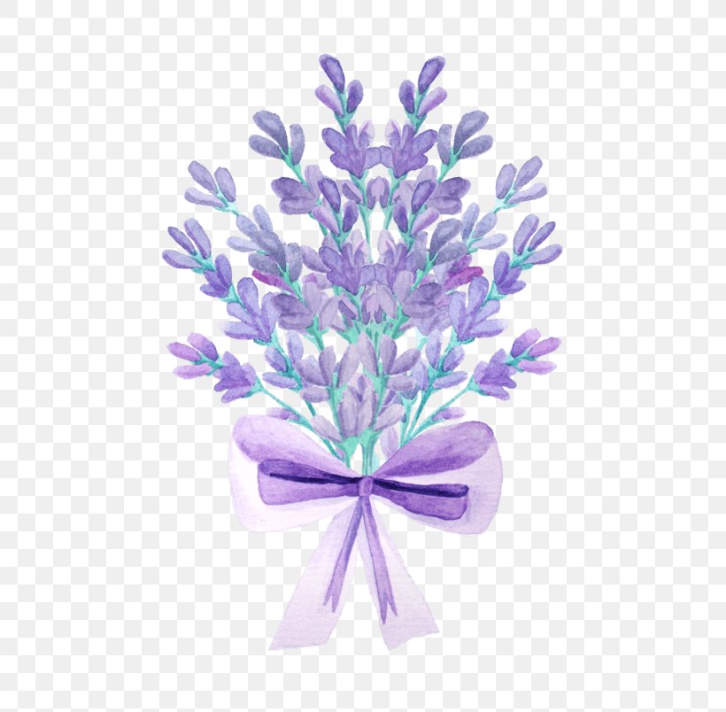 Lavender Image Stock Illustration Royalty-free, PNG, 804x804px, Lavender, Cut Flowers, Drawing, English Lavender, Flower Download Free