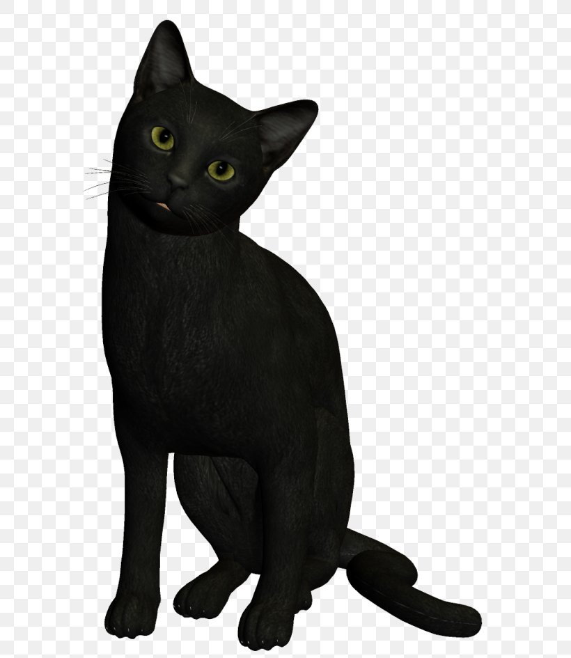 Bombay Cat Black Cat Korat Burmese Cat Havana Brown, PNG, 650x945px, Bombay Cat, Animal, Asian, Black, Black Cat Download Free