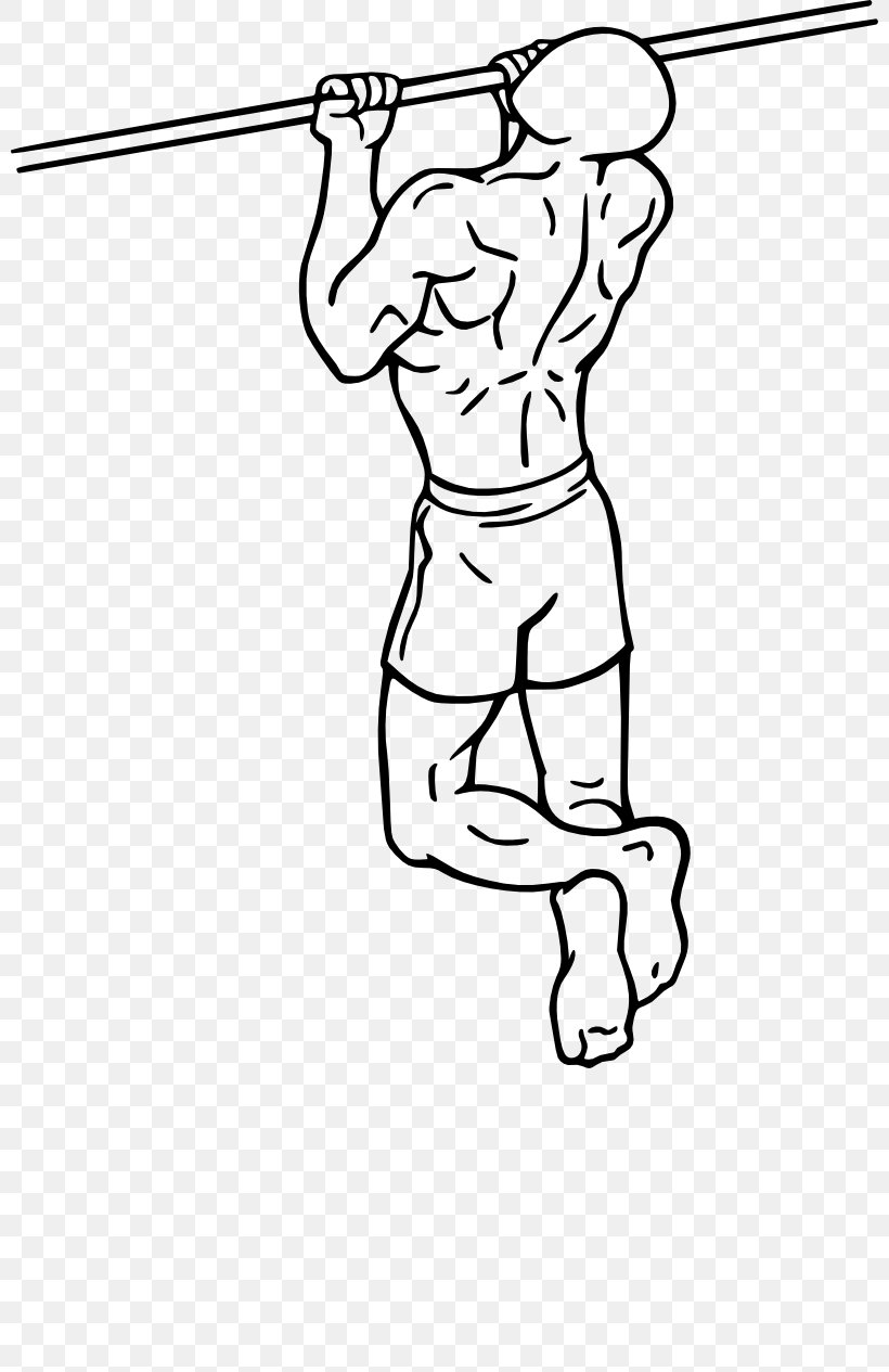Chin-up Pull-up Exercise Biceps Weight Training, PNG, 800x1265px, Chinup, Area, Arm, Art, Artwork Download Free