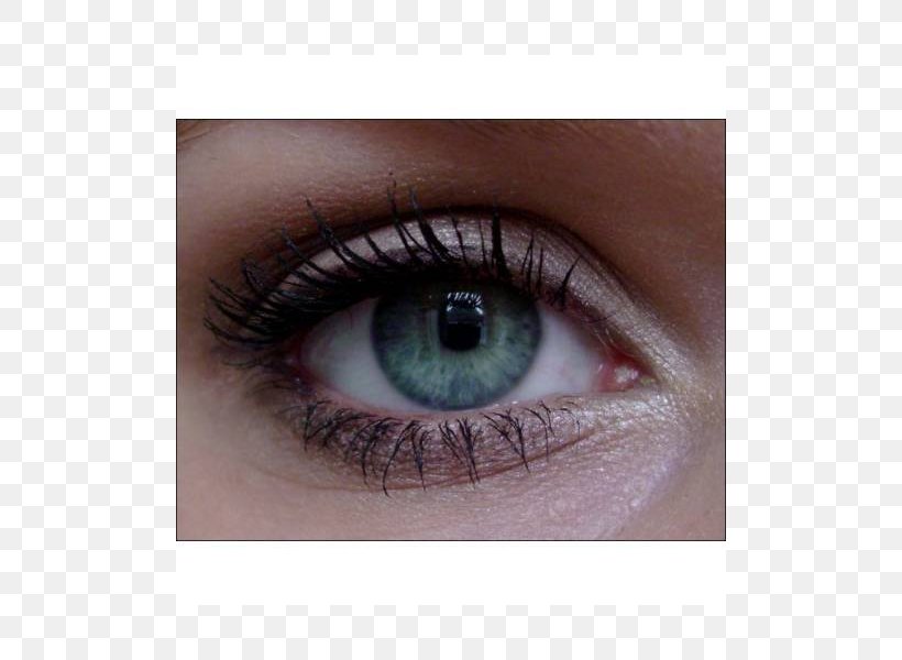 Eyelash Extensions Eye Shadow Eye Liner Mascara Lip Liner, PNG, 800x600px, Watercolor, Cartoon, Flower, Frame, Heart Download Free