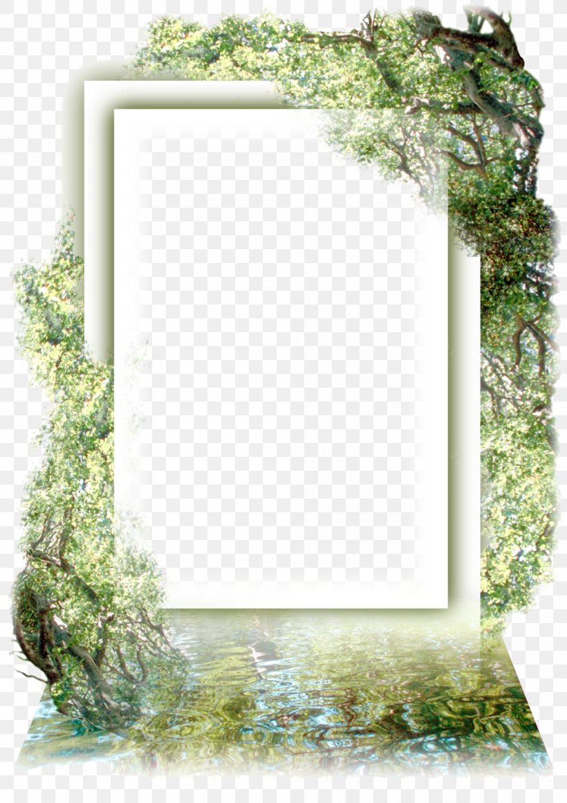 Picture Frames Photography, PNG, 1000x1415px, Picture Frames, Digital Photo Frame, Film Frame, Grass, Mirror Download Free