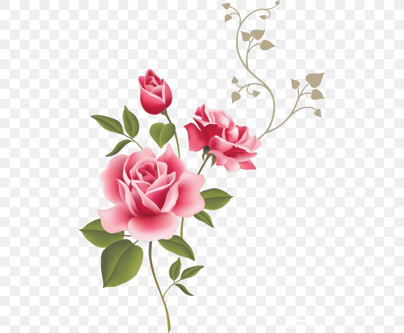 Wall Decal Rose Flower Gift Clip Art, PNG, 500x675px, Wall Decal, Art, Blossom, Branch, Cut Flowers Download Free