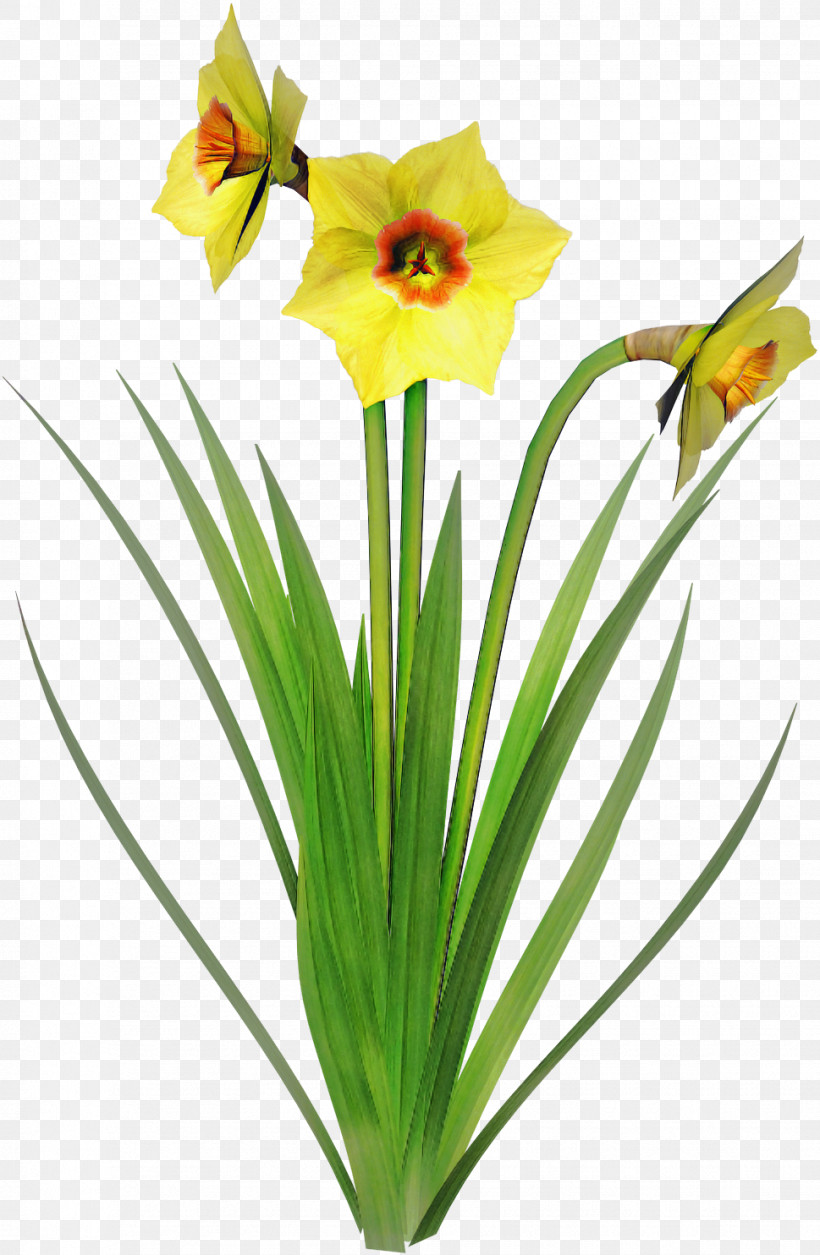Artificial Flower, PNG, 969x1484px, Flower, Amaryllis Family, Artificial Flower, Grass, Hippeastrum Download Free