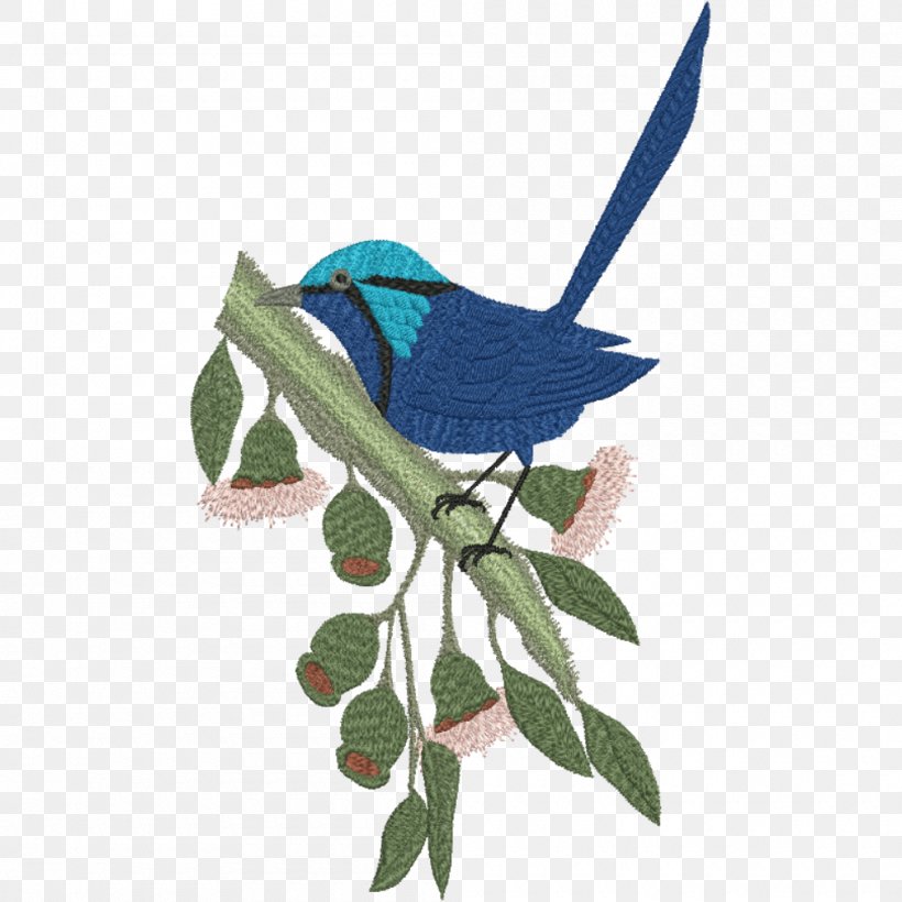 Beak Bird Wren Sacred Kingfisher, PNG, 1000x1000px, Beak, Australia, Bird, Branch, Cobalt Blue Download Free