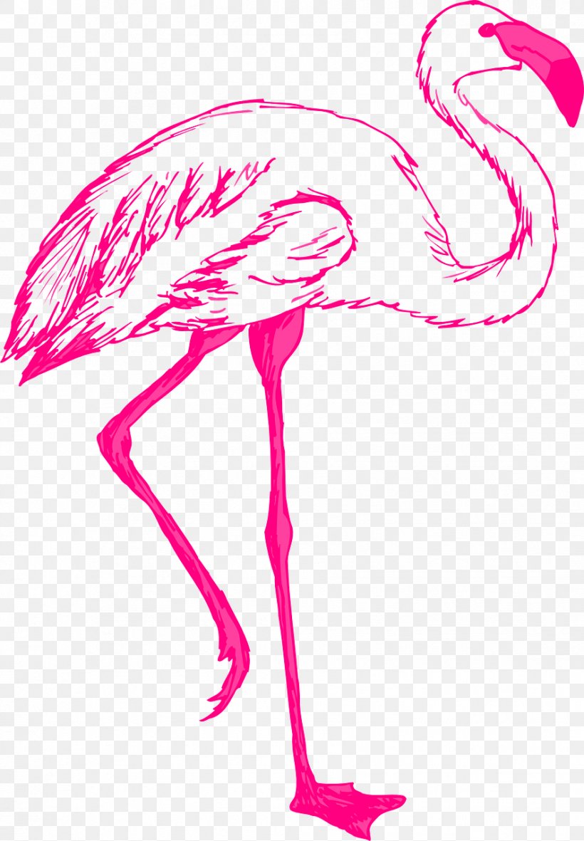 Flamingo Free Clip Art, PNG, 888x1280px, Flamingo, Art, Artwork, Beak, Bird Download Free