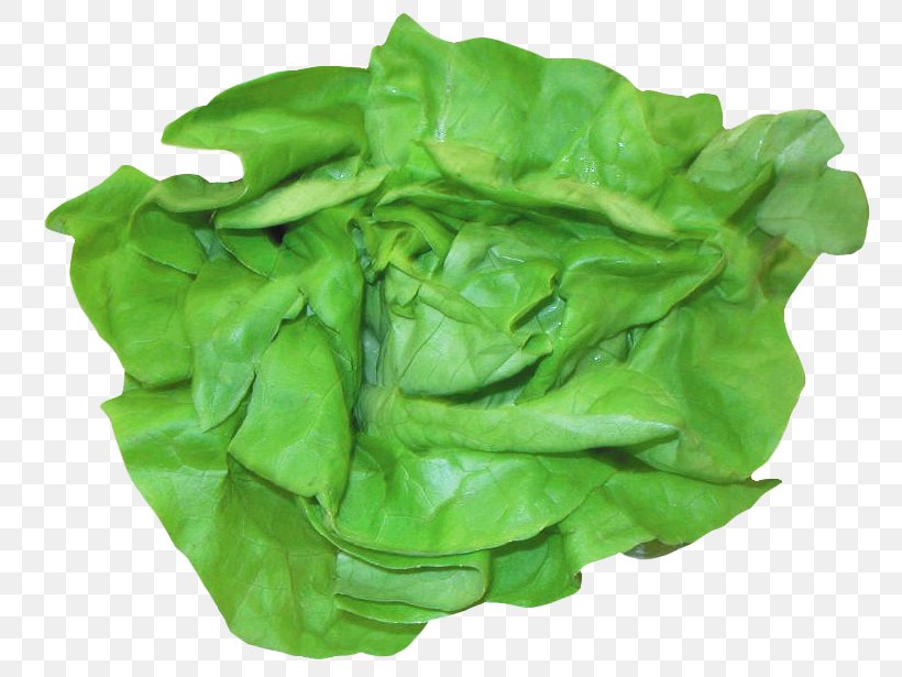 Romaine Lettuce Spinach Chard Lettuce Sandwich Salad, PNG, 776x615px, Romaine Lettuce, Butterhead Lettuce, Cabbage, Caesar Salad, Celtuce Download Free