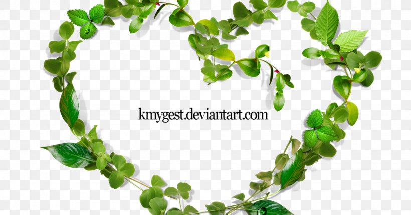 Stock Photography Clip Art Picture Frames Danyelle Pinnington Photography, PNG, 1024x538px, Photography, Branch, Deviantart, Drawing, Green Download Free