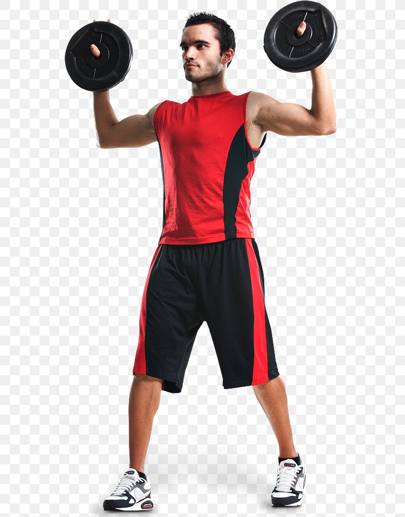 Weight Training Barbell BodyPump Medicine Balls, PNG, 582x1047px, Weight Training, Abdomen, Arm, Balance, Ball Download Free