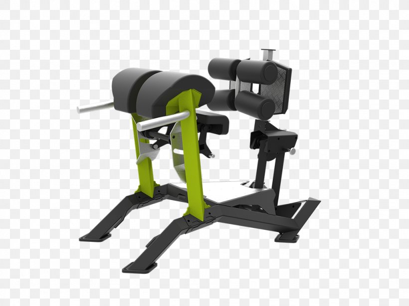 Weightlifting Machine Fitness Centre, PNG, 1024x768px, Weightlifting Machine, Exercise Equipment, Exercise Machine, Fitness Centre, Gym Download Free