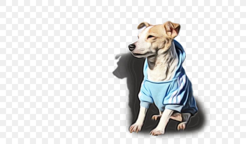 Dog Cartoon, PNG, 720x480px, Italian Greyhound, Breed, Clothing, Companion Dog, Dog Download Free