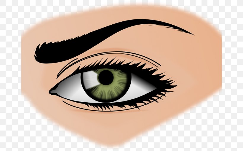 Eye Color Human Eye Clip Art, PNG, 678x509px, Watercolor, Cartoon, Flower, Frame, Heart Download Free