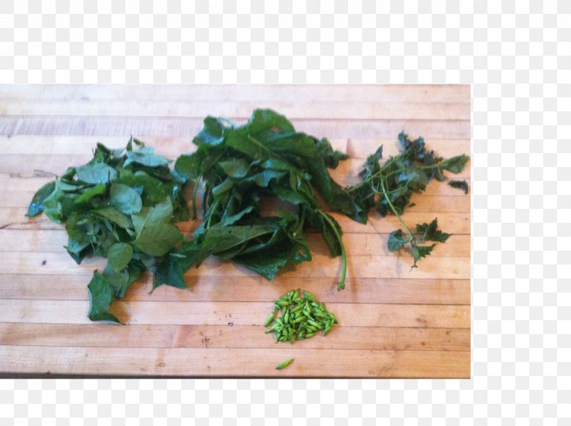 Parsley Spring Greens Recipe Leaf Vegetable, PNG, 1600x1195px, Parsley, Herb, Leaf Vegetable, Recipe, Spring Greens Download Free