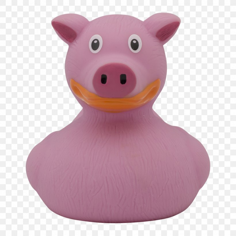 Rubber Duck Pig Animal Natural Rubber, PNG, 1117x1117px, Duck, Animal, Cat, Cattle, Crocodile Download Free