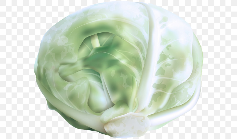 Cauliflower, PNG, 600x481px, Cabbage, Broccoli, Cauliflower, Chinese Broccoli, Leaf Vegetable Download Free