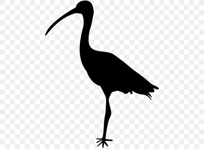 Crane Bird Heron Ibis Clip Art, PNG, 464x600px, Crane, Beak, Bird, Black And White, Ciconiiformes Download Free