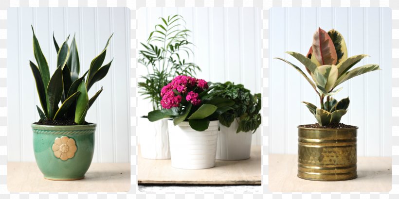 Flowerpot Houseplant Cut Flowers, PNG, 2400x1200px, Flowerpot, Artificial Flower, Child, Cut Flowers, Flora Download Free