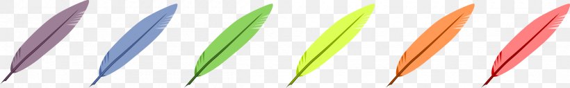 Parrot Bird Feather Clip Art, PNG, 2400x372px, Parrot, Bird, Close Up, Color, Feather Download Free