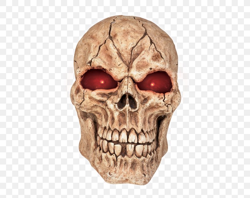 Skull Human Skeleton Head Bone, PNG, 475x650px, Watercolor, Cartoon, Flower, Frame, Heart Download Free