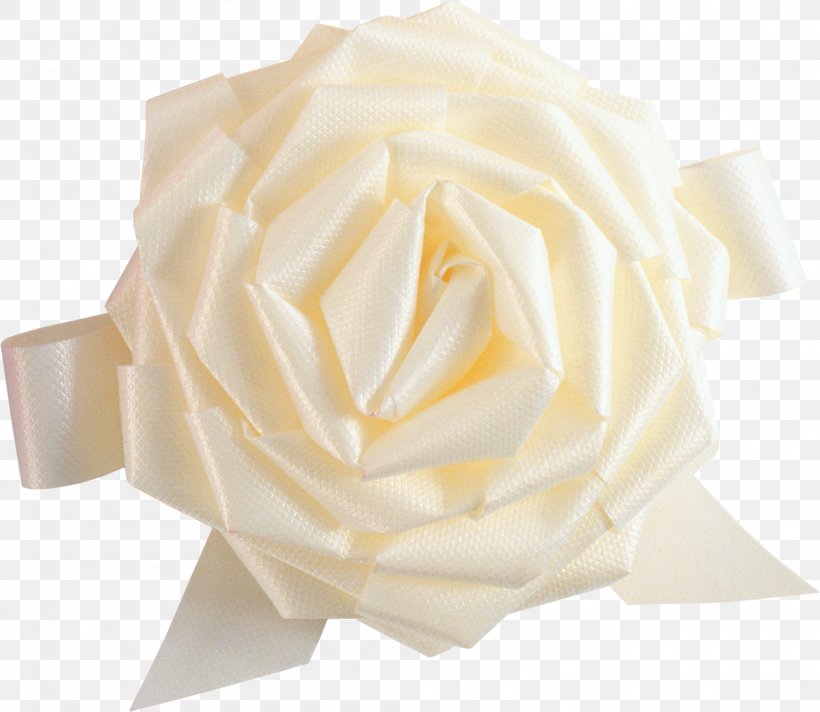 White Rose Image, Flower White Rose Picture, PNG, 1998x1735px, Beach Rose, Beige, Camera, Cut Flowers, Editing Download Free