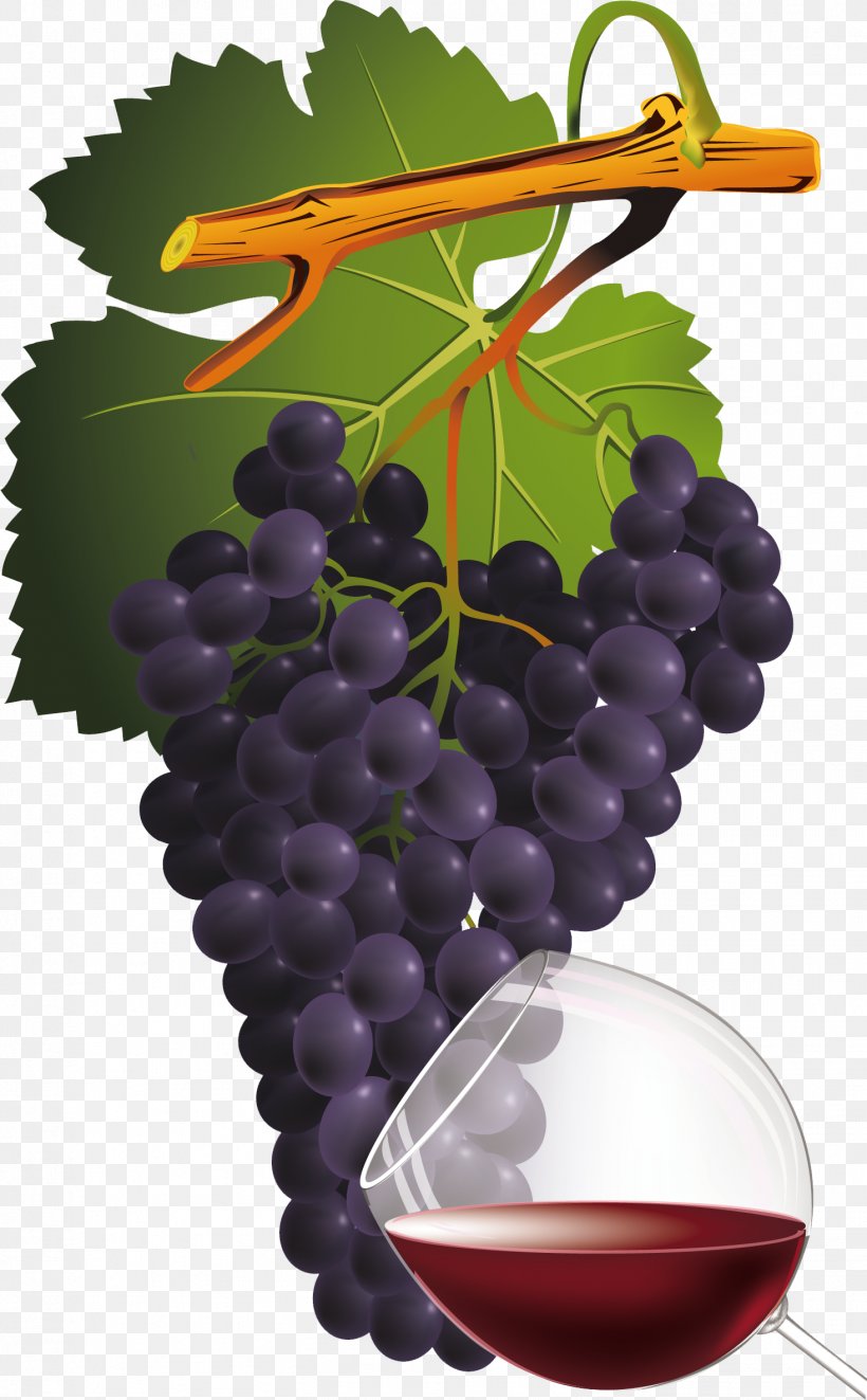 Common Grape Vine Red Wine, PNG, 1468x2369px, Common Grape Vine, Barrel, Bottle, Box Wine, Flowering Plant Download Free