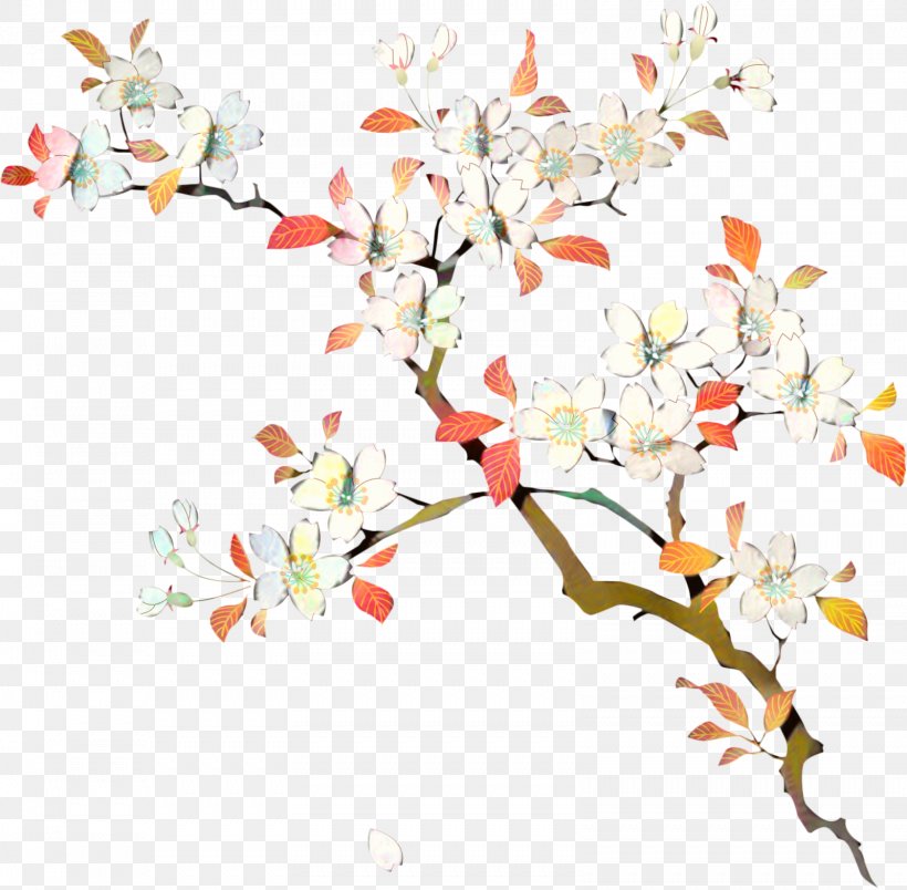 Floral Design Flower Japanese Language Gray Fullbuster, PNG, 1599x1568px, Floral Design, Blossom, Botany, Branch, Cut Flowers Download Free