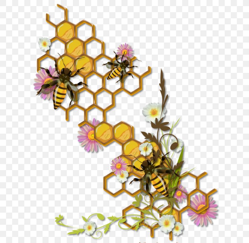 Honey Bee Insect Honeycomb Beehive, PNG, 636x800px, Bee, Art, Bee Pollen, Beehive, Branch Download Free