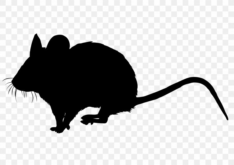 Whiskers Computer Mouse Clip Art Snout Fauna, PNG, 3508x2480px, Whiskers, Black M, Computer Mouse, Fauna, Gerbil Download Free