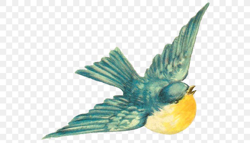 Bird Sparrow Clip Art, PNG, 576x470px, Bird, Art, Beak, Bird Flight, Bird Nest Download Free
