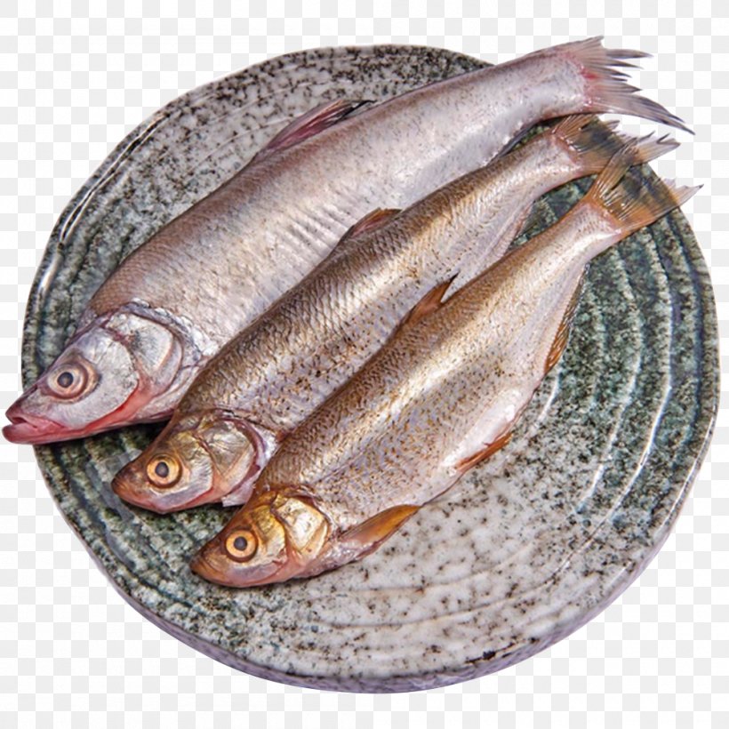 Kipper Soused Herring Anchovies As Food Wild Fisheries, PNG, 1000x1000px, Kipper, Anchovies As Food, Anchovy, Anchovy Food, Animal Source Foods Download Free