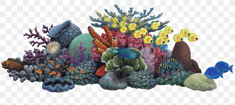 Coral Reef Sea Ocean Clip Art, PNG, 1200x536px, Coral Reef, Aquarium, Aquarium Decor, Coral, Decal Download Free