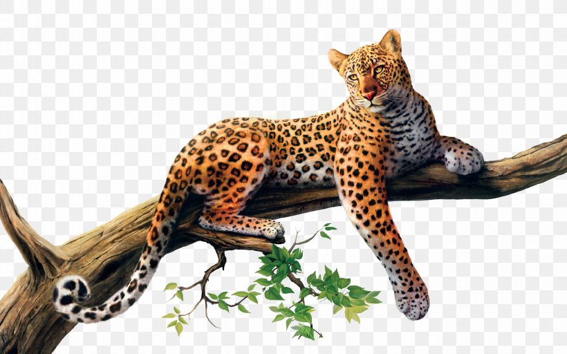 Leopard Cheetah Jaguar Felidae Cat, PNG, 2880x1800px, 4k Resolution, Leopard, Art, Artist, Big Cats Download Free
