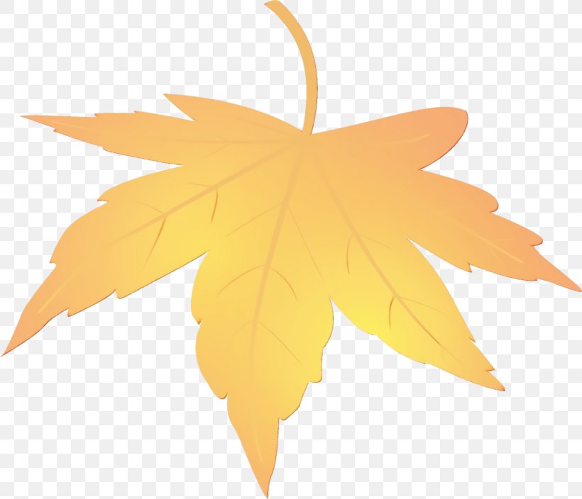 Maple Leaf, PNG, 1024x880px, Watercolor, Leaf, Maple Leaf, Orange, Paint Download Free